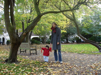 12 Nov autumn 12JPG.jpg